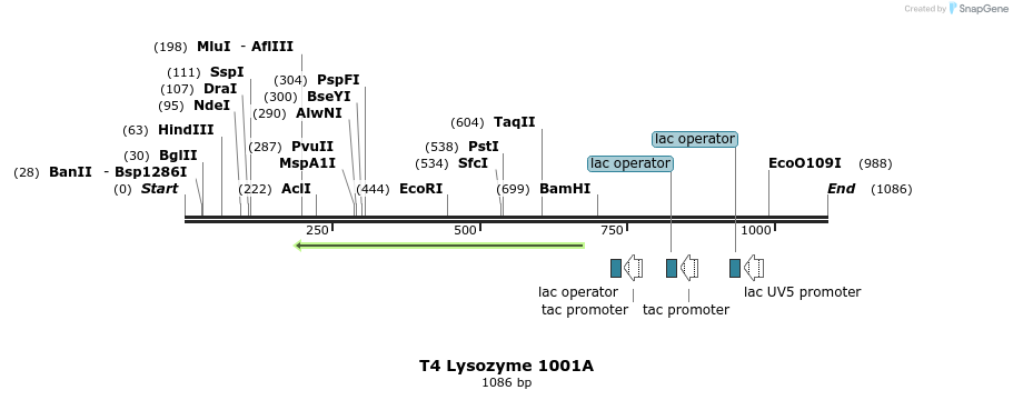 24082_map