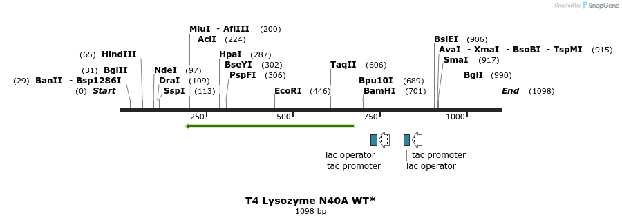 24083_map