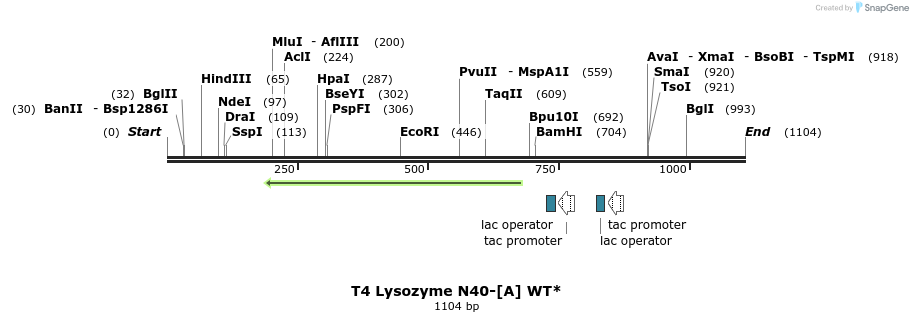 24084_map
