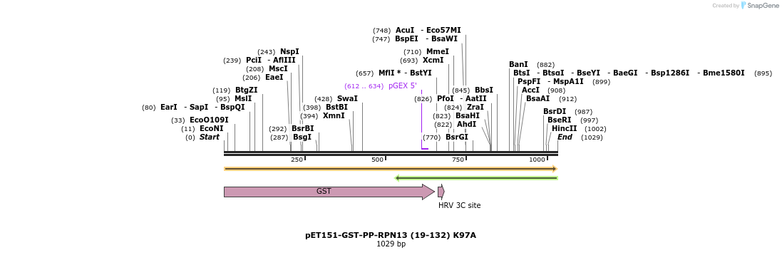 240856_map