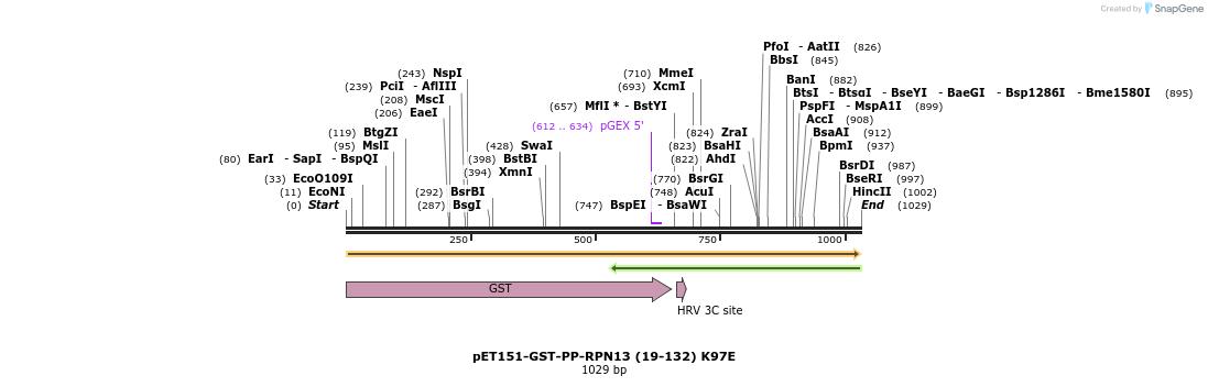 240859_map