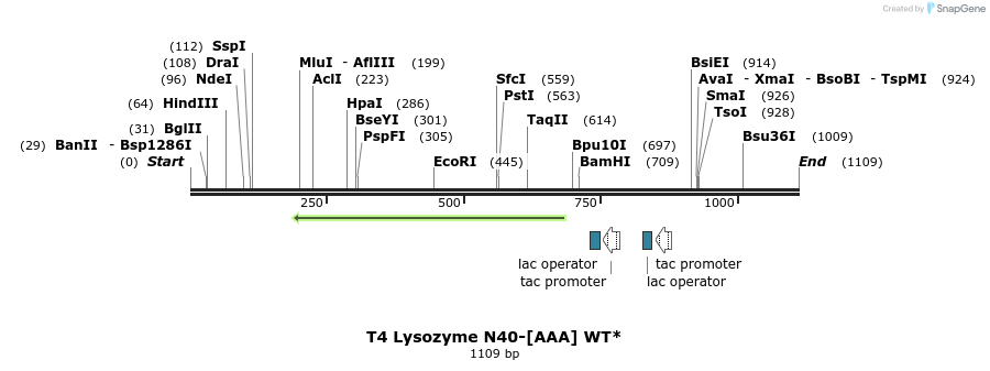 24086_map