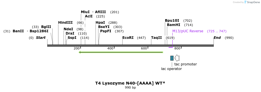 24087_map