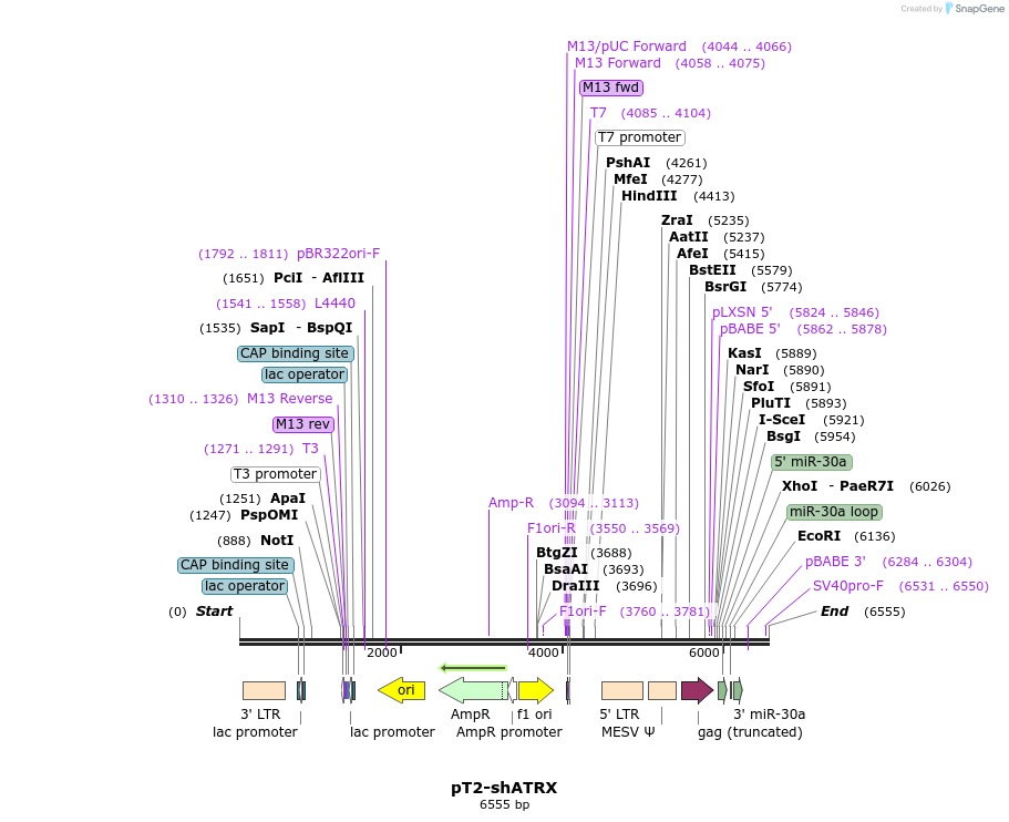 240870_map
