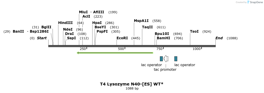 24088_map