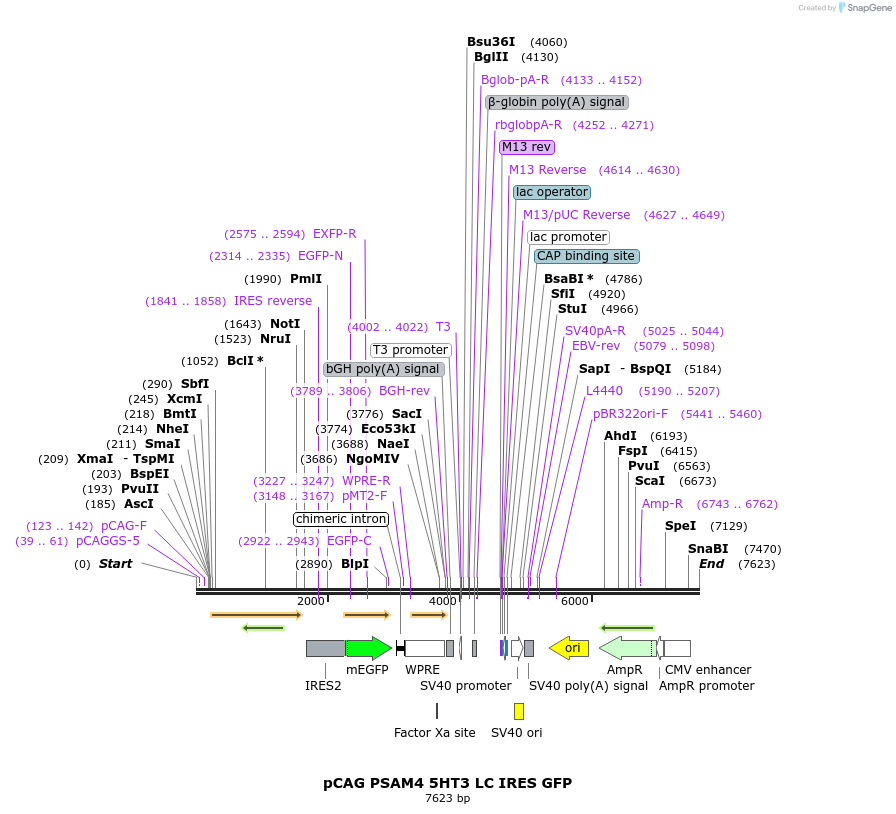 240882_map
