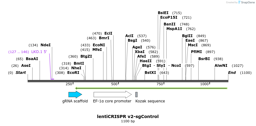 240884_map