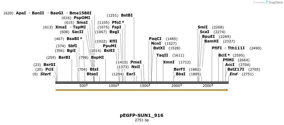 240889_map