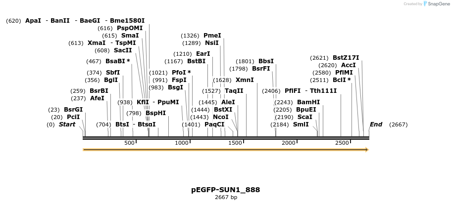 240890_map