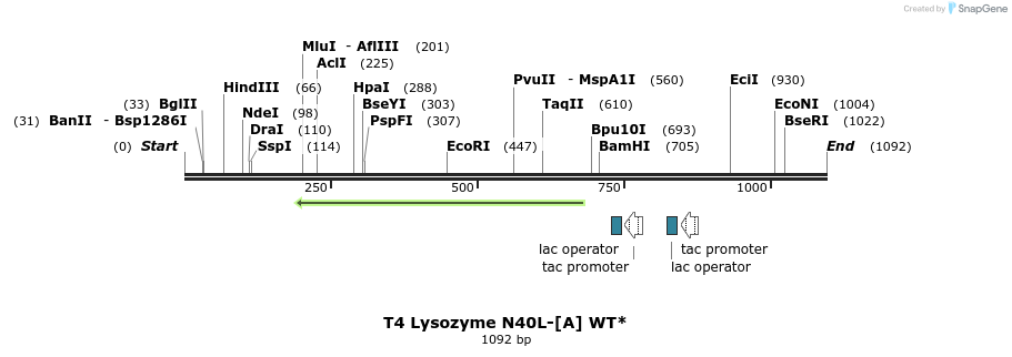 24091_map