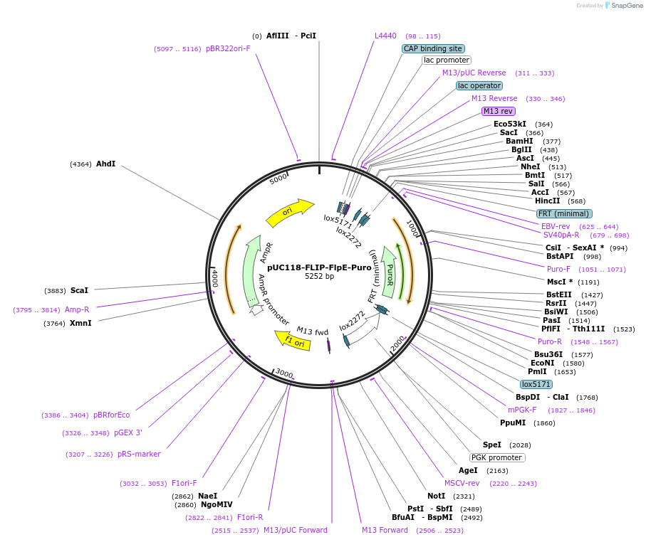 240914_map