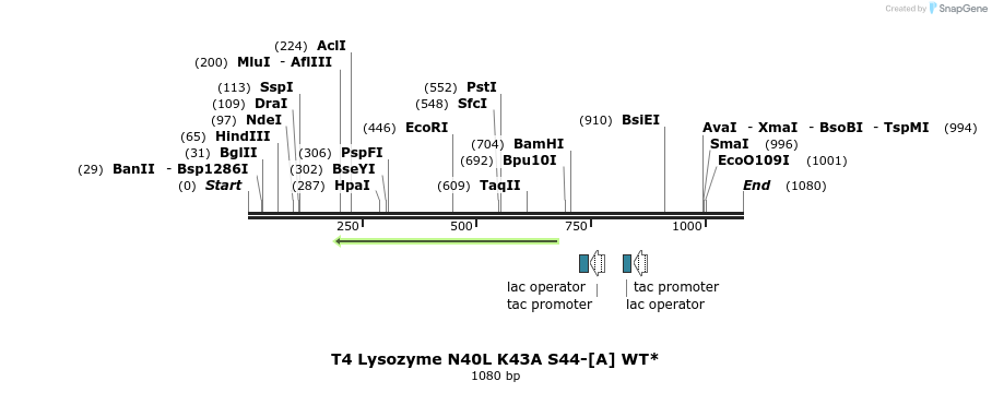 24092_map