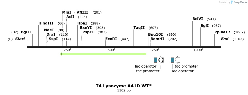 24094_map