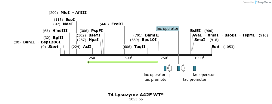 24096_map