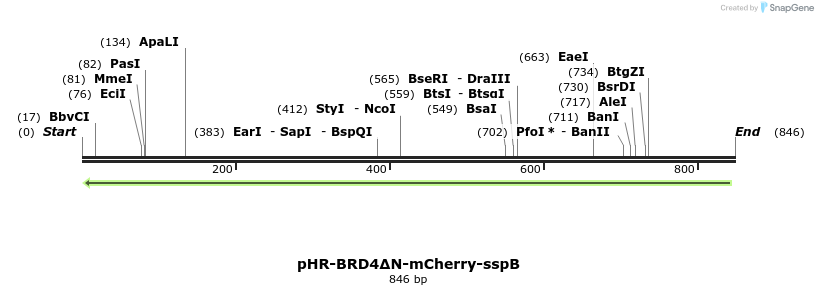 240977_map