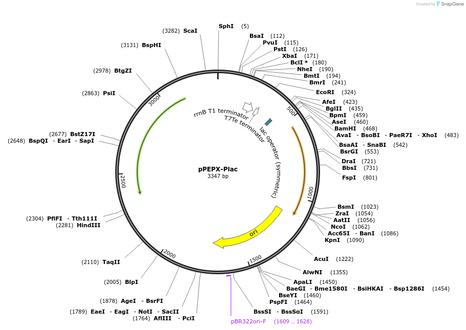 240994_map