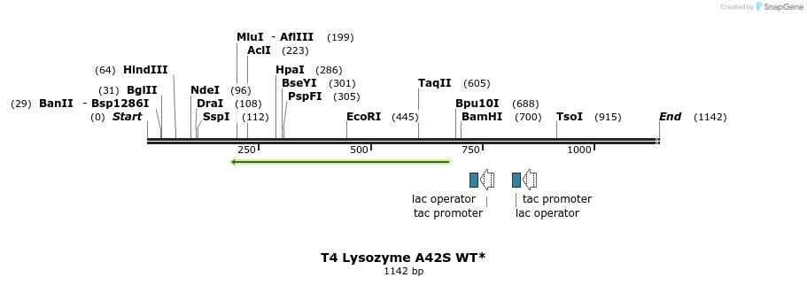 24100_map