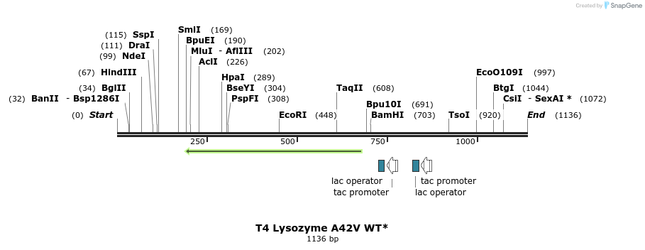 24101_map