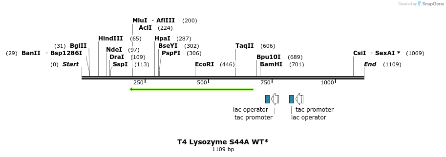 24103_map