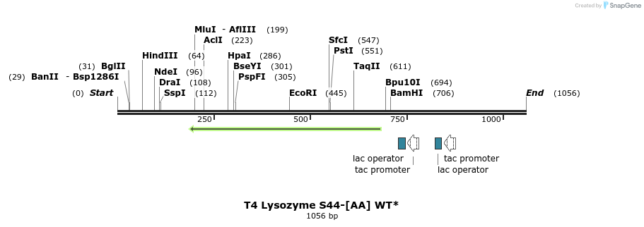 24105_map