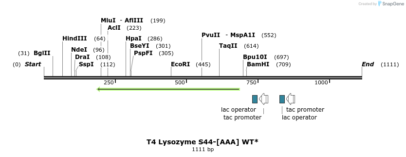 24106_map
