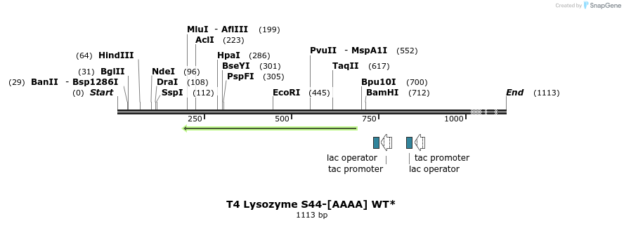 24108_map