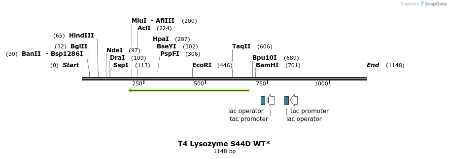 24110_map