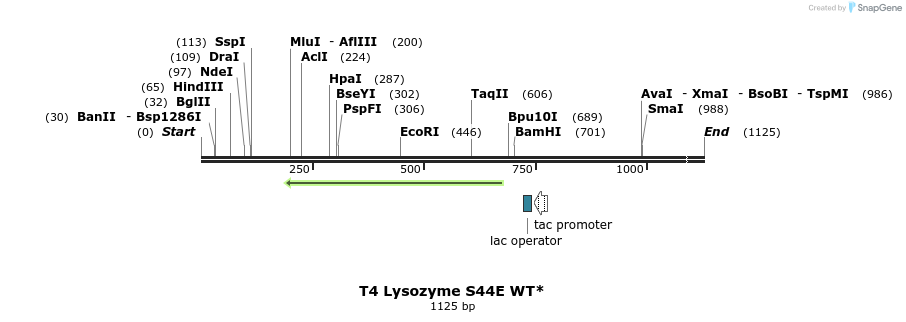 24111_map