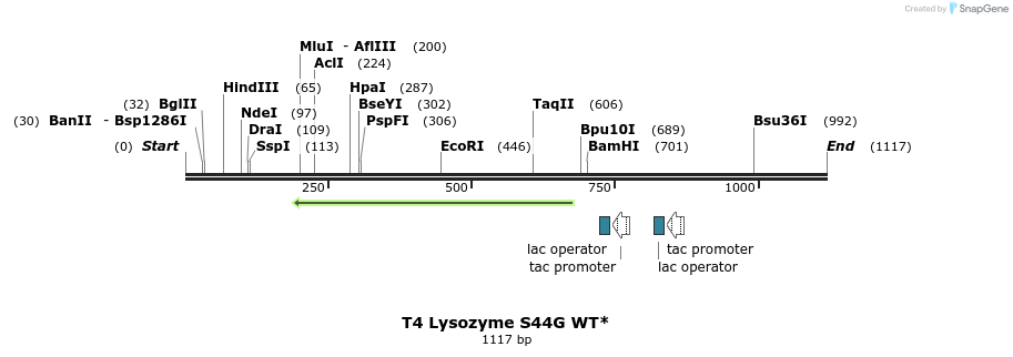 24113_map