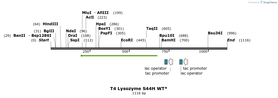 24114_map