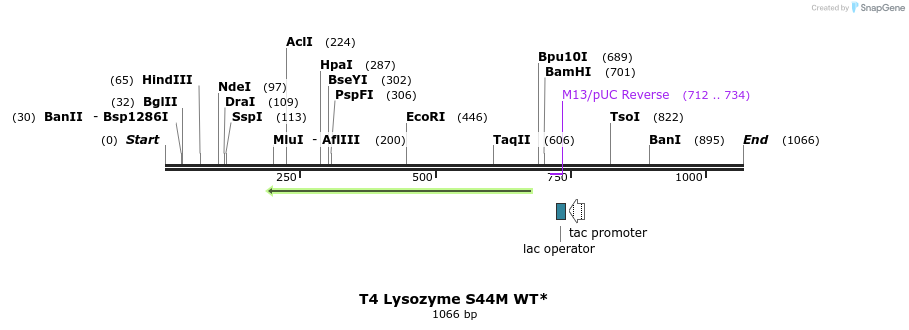 24117_map