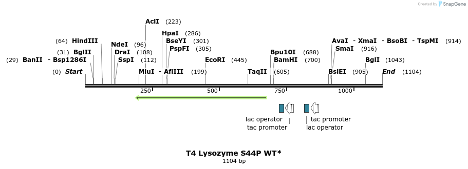 24118_map