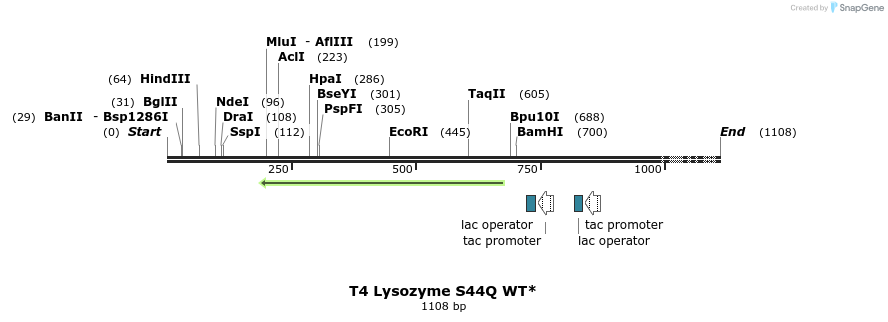 24119_map