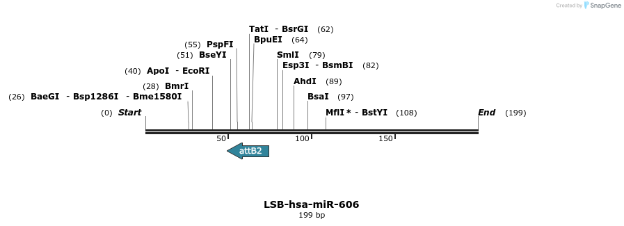 241194_map