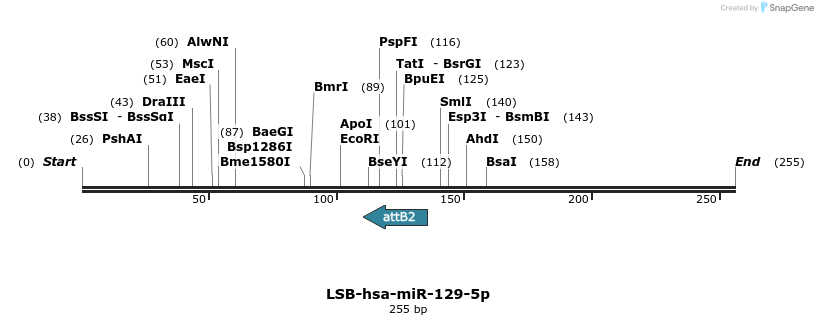241197_map