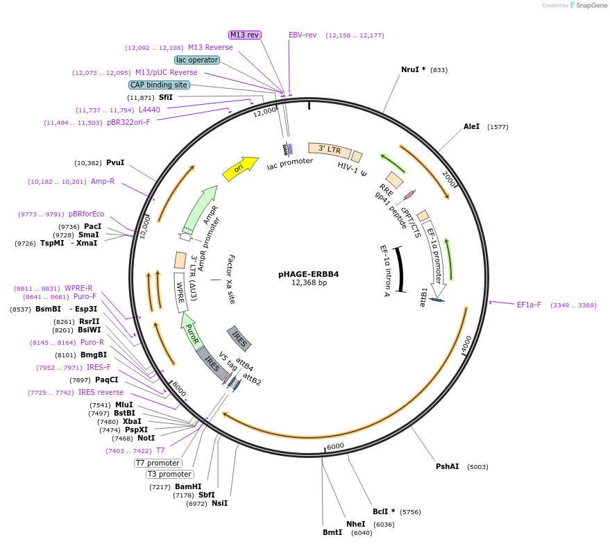 241219_map