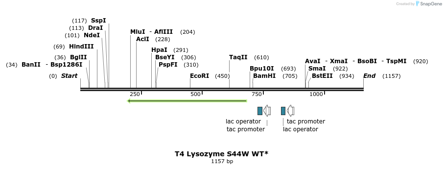 24122_map