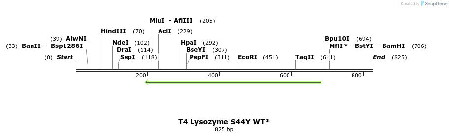 24123_map