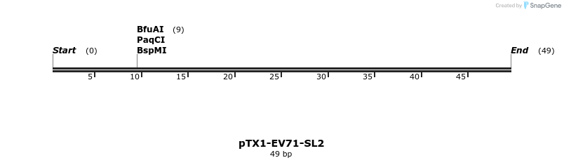 241233_map