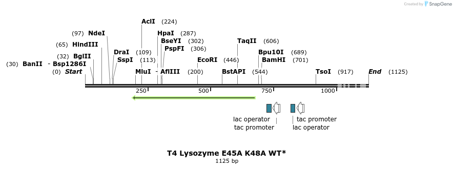 24125_map