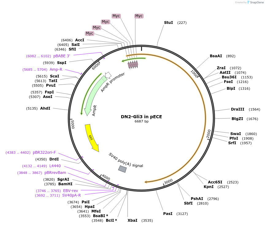 241250_map