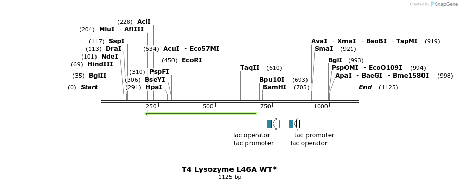 24126_map