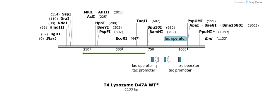 24127_map