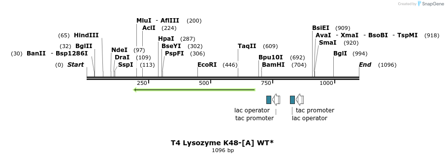 24128_map