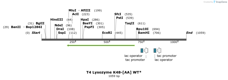 24129_map