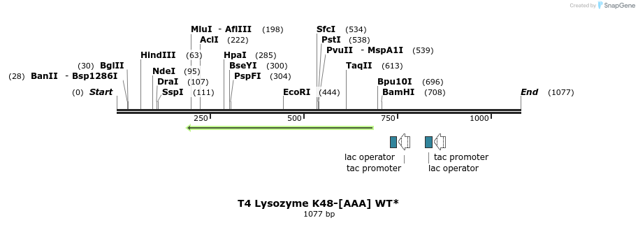 24130_map