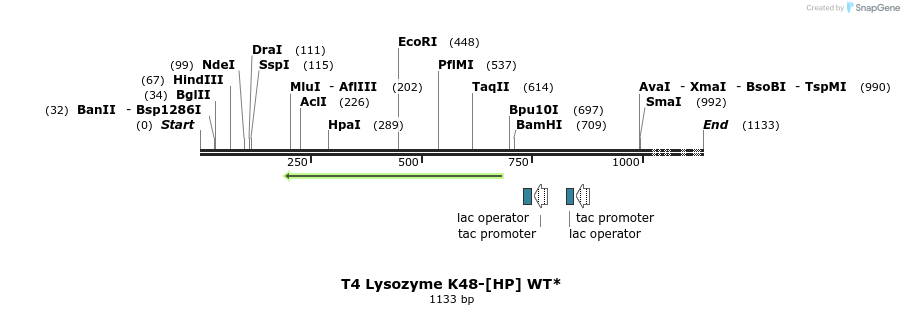 24132_map