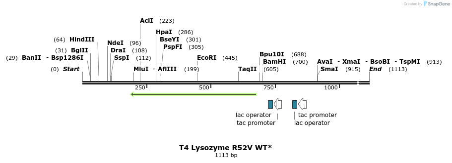 24136_map
