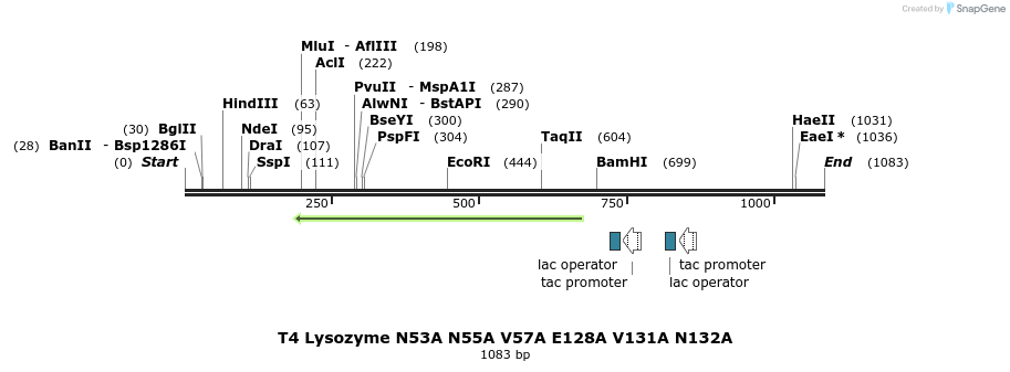 24141_map