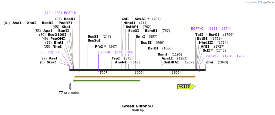 241443_map